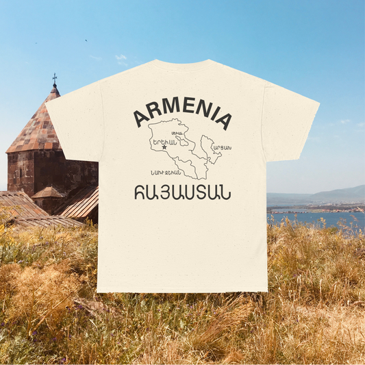 LIGHT COLOR OPTIONS Vintage Armenia Design Unisex Cotton Tee T-Shirt